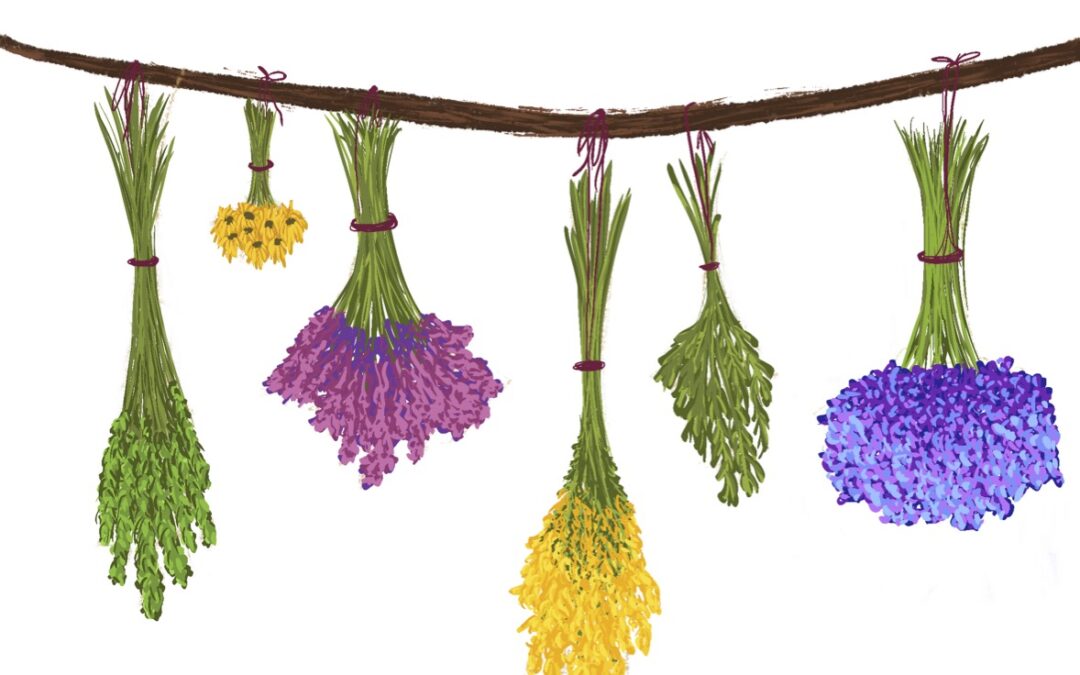 Hung Out to Dry by Carolyn Bergland