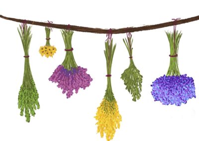 Hung Out to Dry by Carolyn Bergland